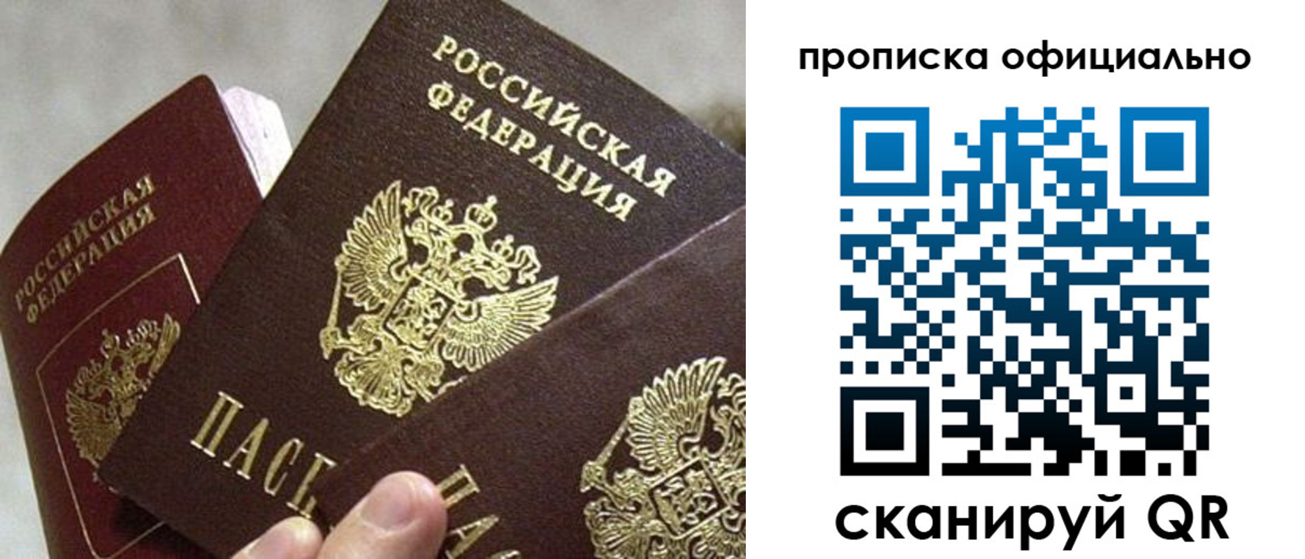 прописка гарантия в Щиграх